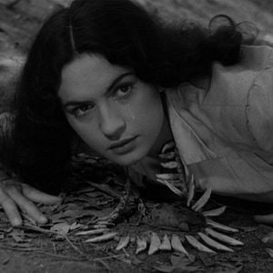 Bilder O Cangaceiro - Die Gesetzlosen