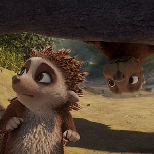 Bilder Latte Igel und der magische Wasserstein