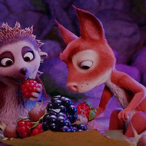 Bilder Latte Igel und der magische Wasserstein