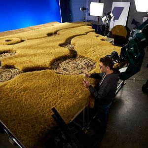 Bilder Shaun das Schaf 2: UFO-Alarm