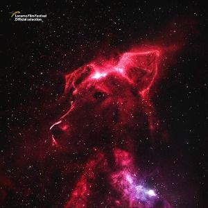 Bilder Space Dogs