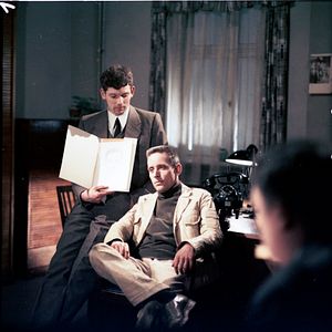 Bilder Plauener Spitzen