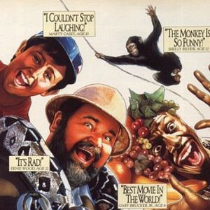 Bilder Im Urwald ist die Hölle los