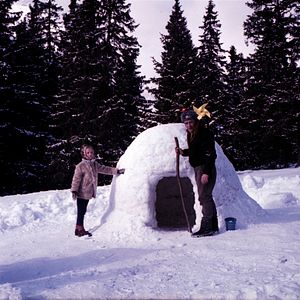 Bilder Ninotschka sucht den Frühling