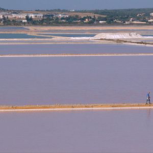 Bilder Human Nature: Die CRISPR Revolution