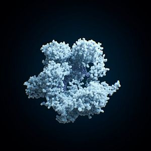 Bilder Human Nature: Die CRISPR Revolution