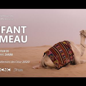 Bilder L'Enfant chameau