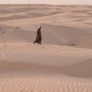 Bilder L'Enfant chameau