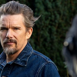 Bilder Ethan Hawke