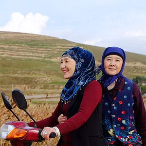 Bilder Hong hua lv ye