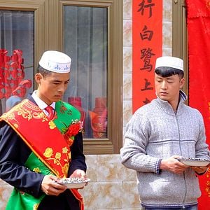 Bilder Hong hua lv ye