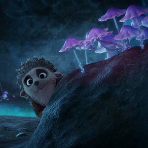 Bilder Latte Igel und der magische Wasserstein