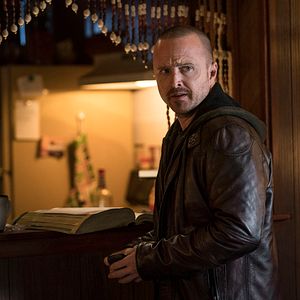 Bilder Aaron Paul