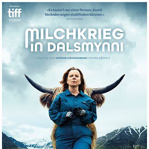 Bilder Milchkrieg in Dalsmynni