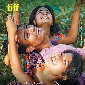 Bilder Bulbul Can Sing