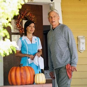 Bilder Louise Barnes