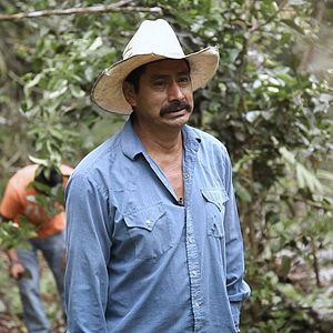 Bilder A Six Dollar Cup Of Coffee