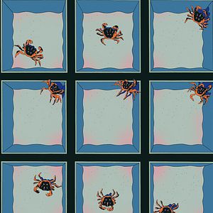 Bilder Die Insel der hungrigen Geister