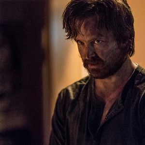 Bilder Aaron Paul