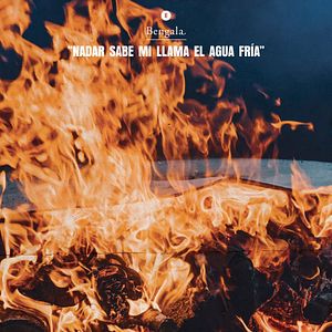 Bilder Vaquero del mediodía