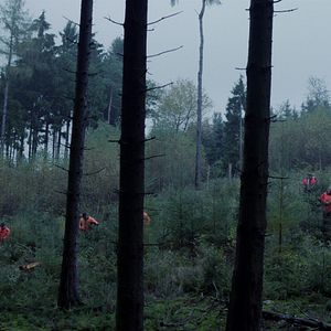 Bilder Fünf Dinge, die ich nicht verstehe