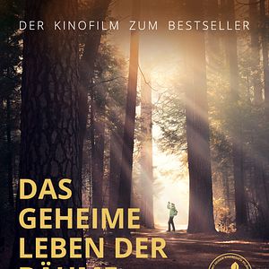 Bilder Das geheime Leben der Bäume