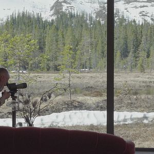 Bilder Das geheime Leben der Bäume