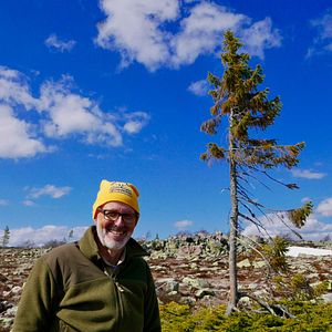 Bilder Das geheime Leben der Bäume