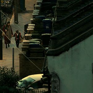 Bilder Cat in the Wall