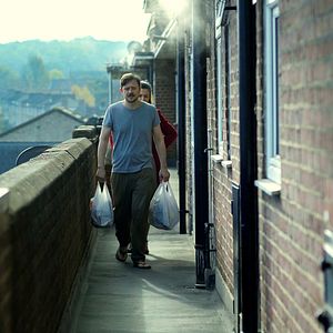 Bilder Cat in the Wall