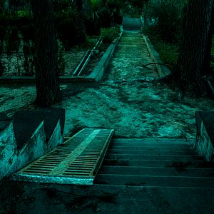 Bilder Growl - Er riecht deine Angst