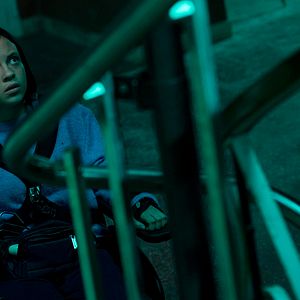 Bilder Growl - Er riecht deine Angst