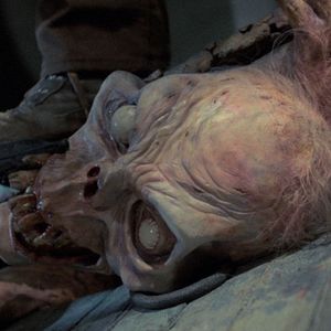 Bilder Tanz der Teufel 2