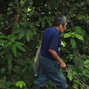 Bilder Tierra adentro