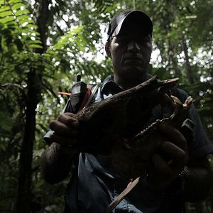 Bilder Tierra adentro