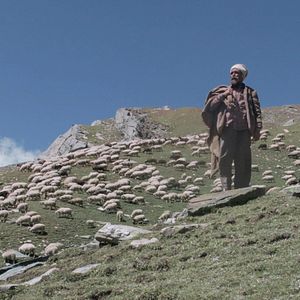 Bilder Sona Dhwandi Bhed Te Suchha Pahad