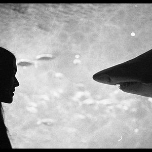 Bilder Letters to Paul Morrissey