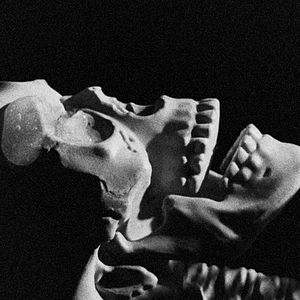 Bilder Letters to Paul Morrissey