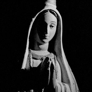 Bilder Letters to Paul Morrissey