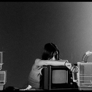 Bilder Letters to Paul Morrissey