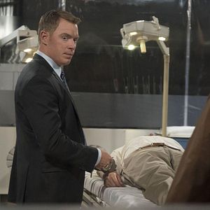 Bilder David Wilson Barnes