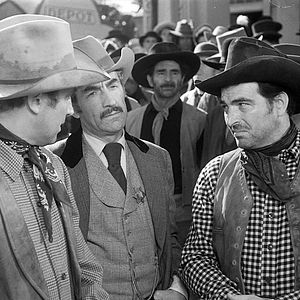 Bilder Stephen McNally