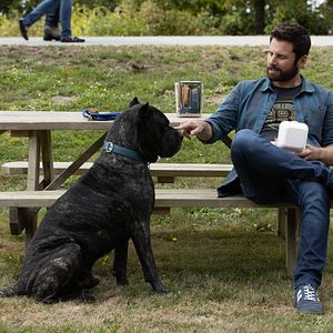 Bilder A Million Little Things