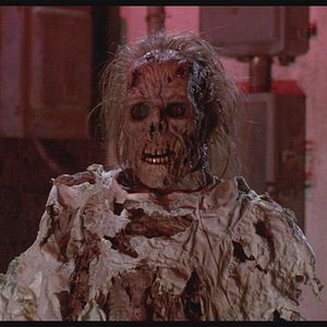 Bilder Die Nacht der Creeps