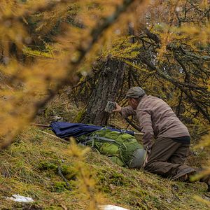 Bilder Wolf Walk - Auf der Spur der Wölfe