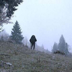 Bilder Wolf Walk - Auf der Spur der Wölfe