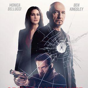 Bilder Spider in the Web