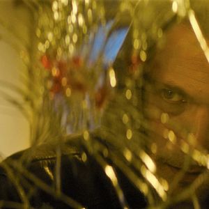 Bilder Spider in the Web