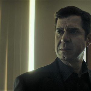 Bilder Spider in the Web