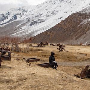 Bilder PJ Harvey - A Dog Called Money